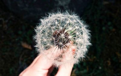 Per què serveixen les emocions?
