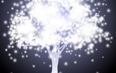 Podríem fer una societat perfecta o és un ideal impossible?