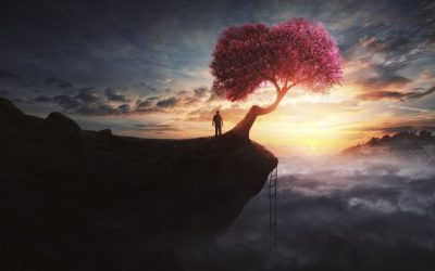 El dolor, podem evitar-lo? I el patiment?