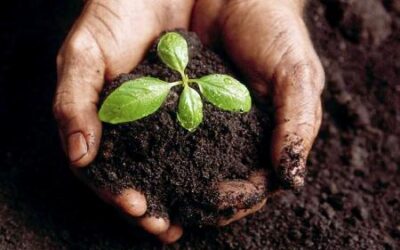 Necessitem un nou model de plantejament d’economia familiar?