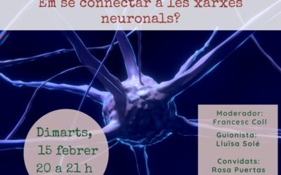 Em sé connectar a les xarxes neuronals?
