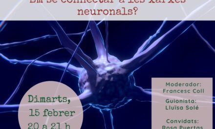 Em sé connectar a les xarxes neuronals?
