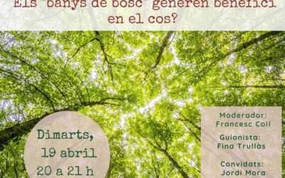 Els «banys de bosc» generen benefici en el cos?