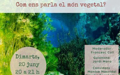 Com ens parla el món vegetal?