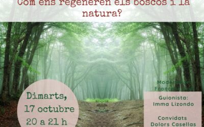 Com ens regeneren els boscos i la natura?