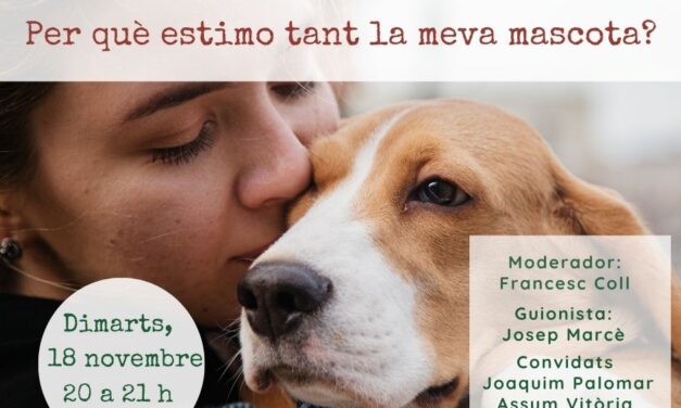 Per què estimo tant la meva mascota?